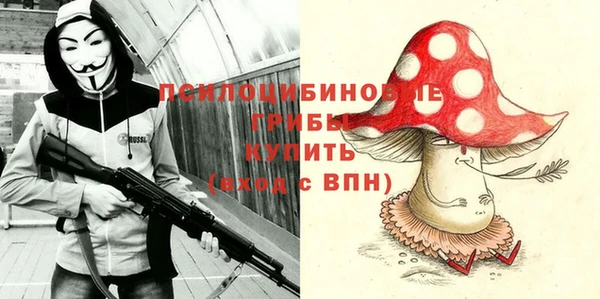 гашик Аркадак