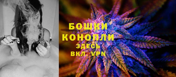 гашик Аркадак