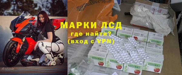 гашик Аркадак